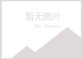 偃师从灵服务有限公司